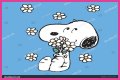 Be snoopy