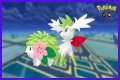 want shiny shaymin | Bulbagarden