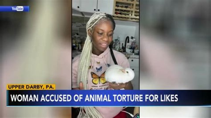 28-year-old US woman detained for torturing and killing animals live on YouTube for likes