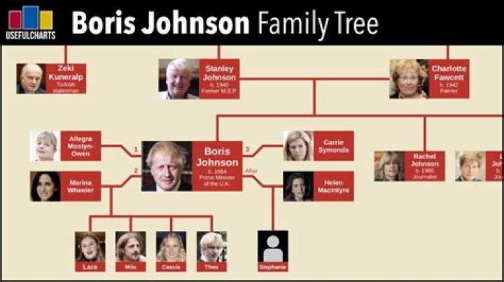 Are Boris Johnson parents Americans? Are Boris Johnson ancestors Russian?