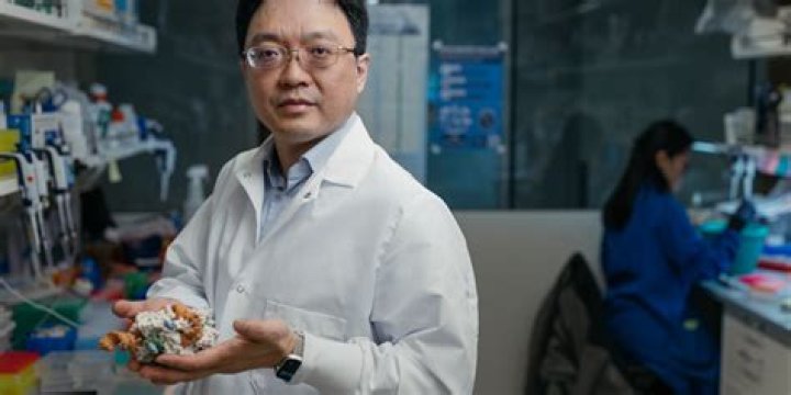 Bach-Nga Shenoy – San Jose, CA