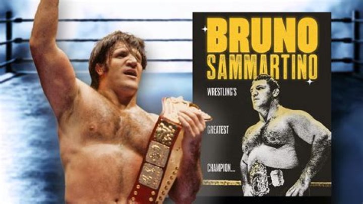 Bruno Sammartino Biography - Facts, Childhood, Family Life & Achievements