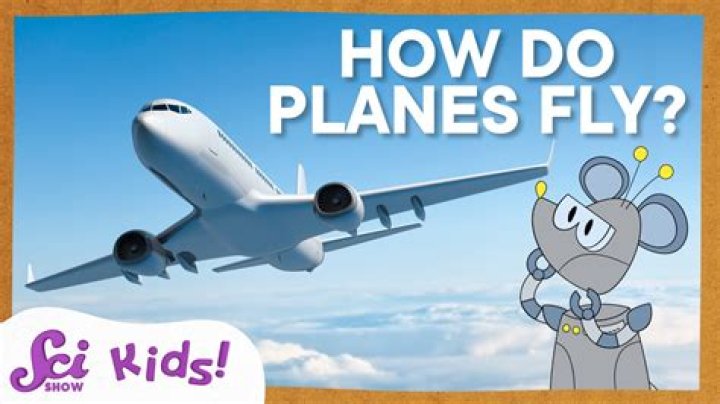 Can You Fly With Gun On Spirit? – Celebrity