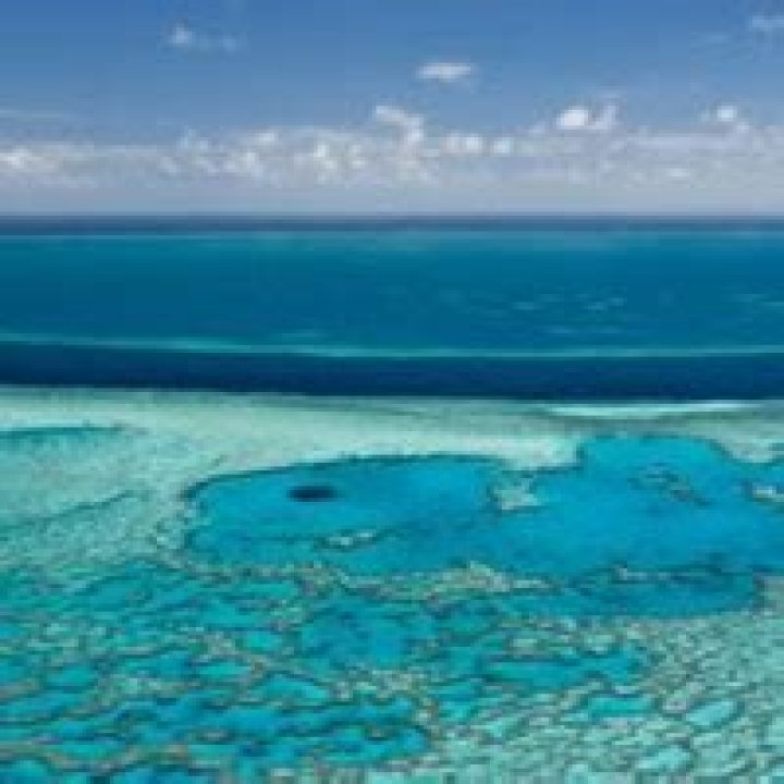 Dr. Chrysanthy Tsifutis, MD – Saint Louis, MO