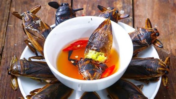 Dr. Cuong La, MD – Saginaw, MI