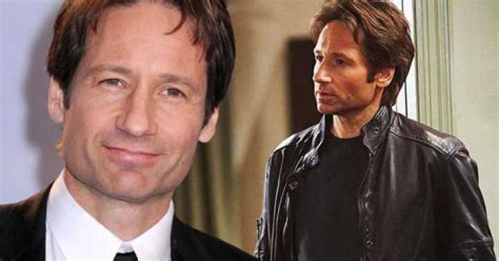 David Duchovny Biography - Facts, Childhood, Family Life & Achievements