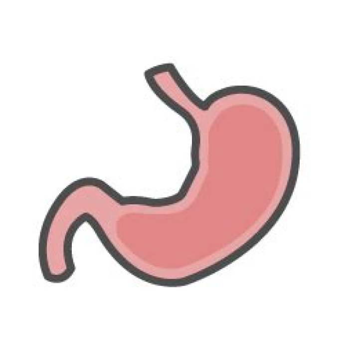 Dr. Marc Taormina, MD – Lee's Summit, MO