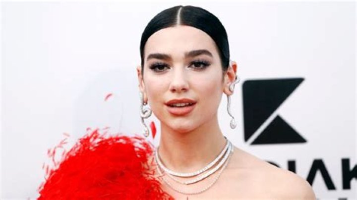 Dua Lipa Shares Swimsuit Photo as Barbie