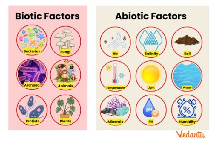 Examples of biotic and abiotic factors
