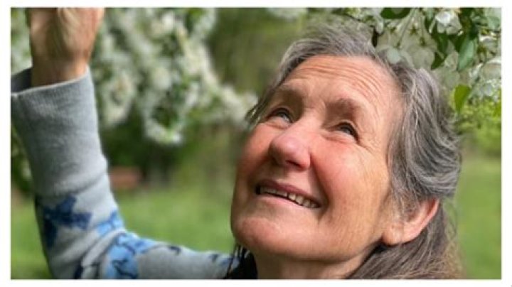 Harry Wild: Who Is Rose O’Neill? Age Wikipedia And More Details To Know