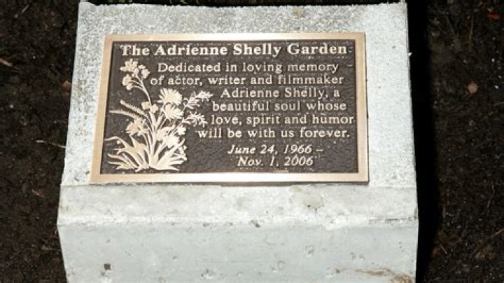 How did ‘Waitress’ director Adrienne Shelly pass away? The New York homicide, explained