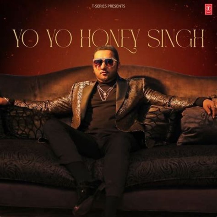
How Much Money Does Yo Yo Honey Singh Make? Latest Income Salary

