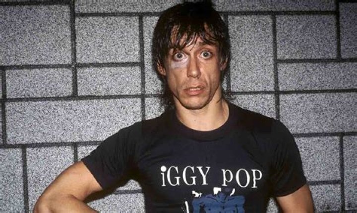 Iggy Pop career earnings and net worth