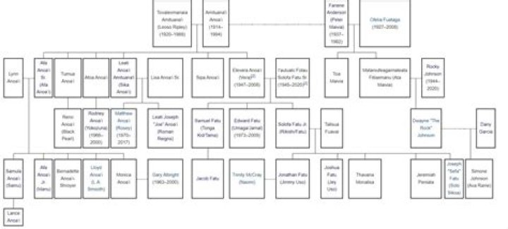 Is Stacey Dash And Dame Dash Related? Family Tree And Net Worth Difference