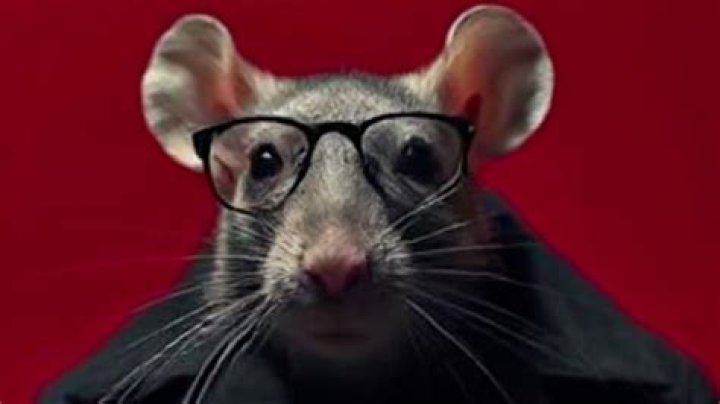 Is Timmy Thomas still alive? Date of death and cause of death