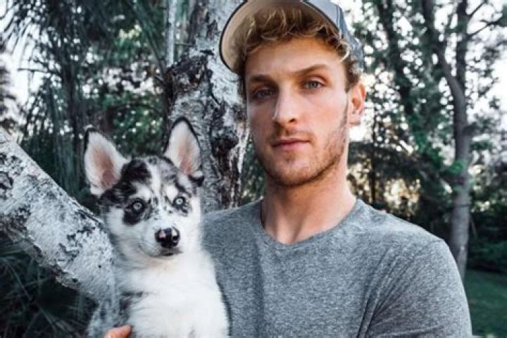 Logan Paul Says Brooke Houts Is ‘Completely Unfit To Own That Dog’ As Backlash Against YouTuber Increases Following Viral Alleged Dog Abuse Video