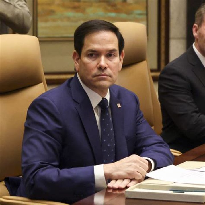 Marco Ilsø Net Worth: How Much Is Marco Ilsø Worth?