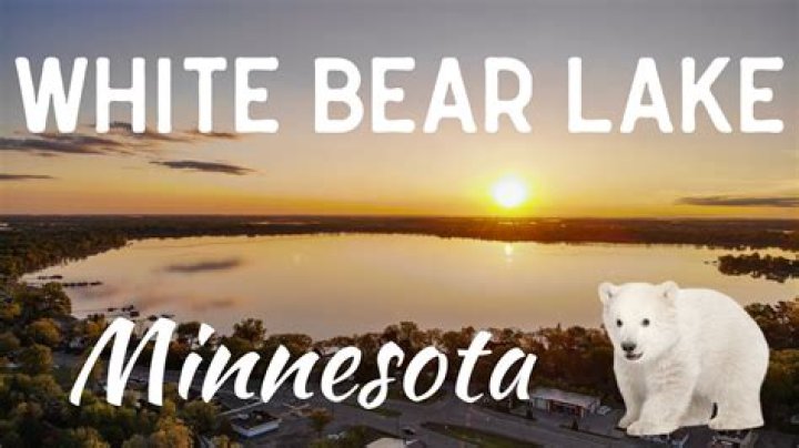 Missing Mark Edward Lowell Found Dead In White Bear Township Lake