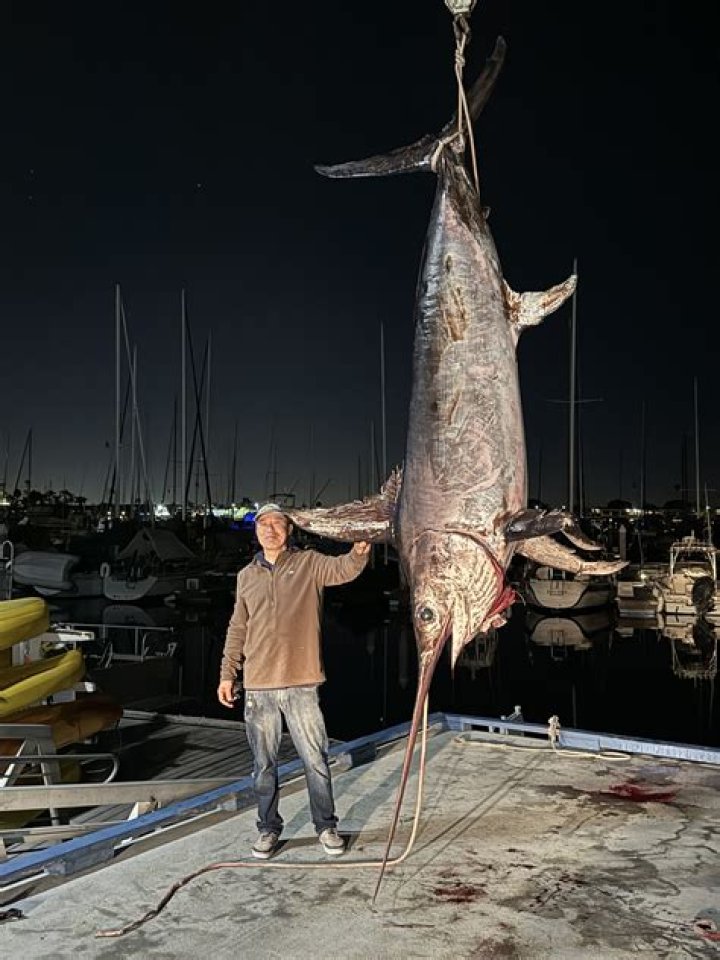 Netflix doubles down on its biggest draws as a murderous erotic thriller impales the Top 10 in 80 nations