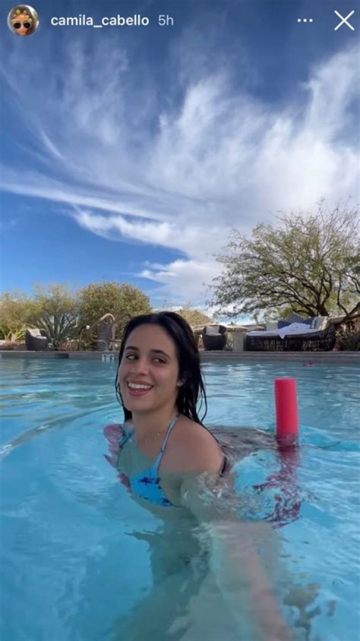 Camila Cabello in Bathing Suit Shares "My Mood Today!" — Celebwell
