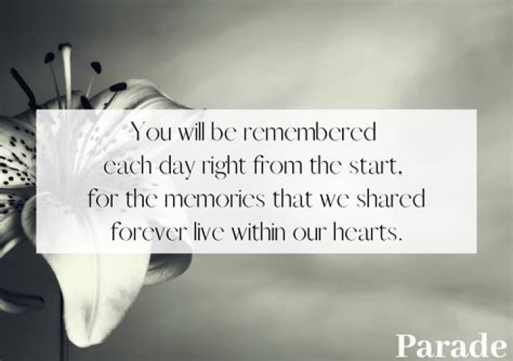 Obituary | Tony Cervelli Passes Away, How Did Car Enthusiast Tony Cervilli Die?