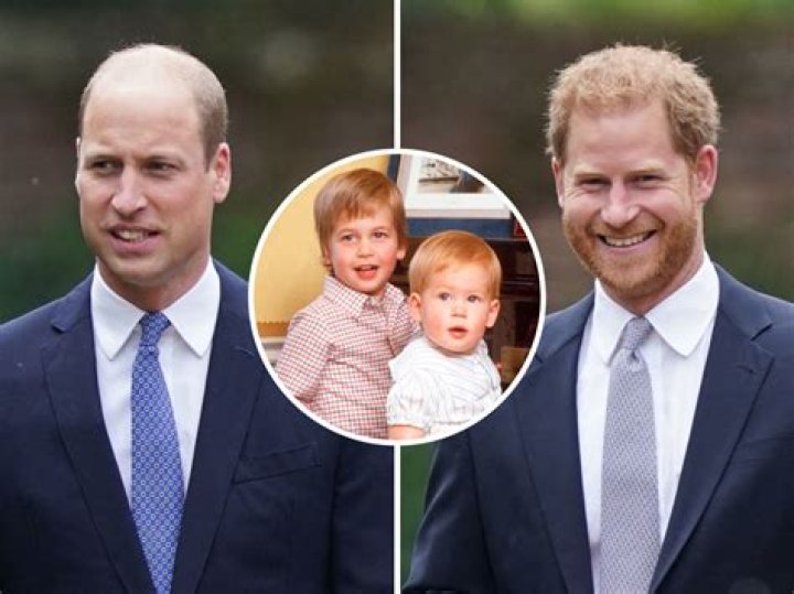 Princes Harry And William’s Rift – Royal Expert Says Princess Diana Would Be ‘Extremely Disappointed!’