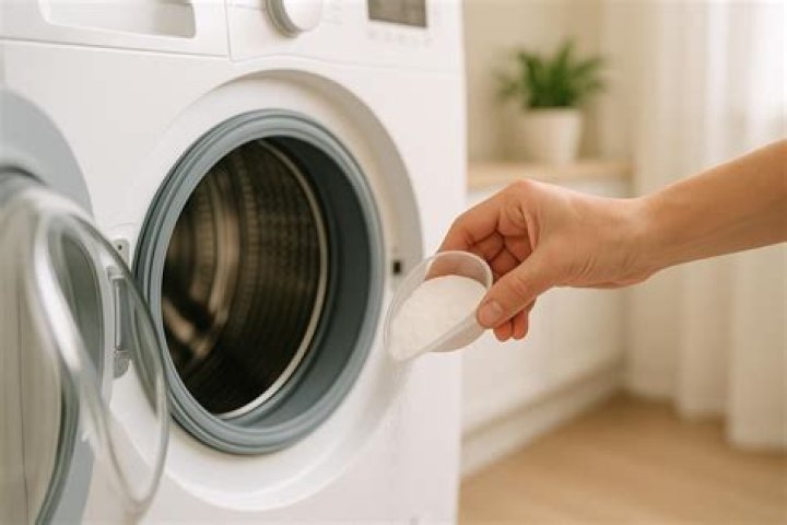 Democratic Susanna Gibson Wiki, Age, Husband, Kids, Political Career and More