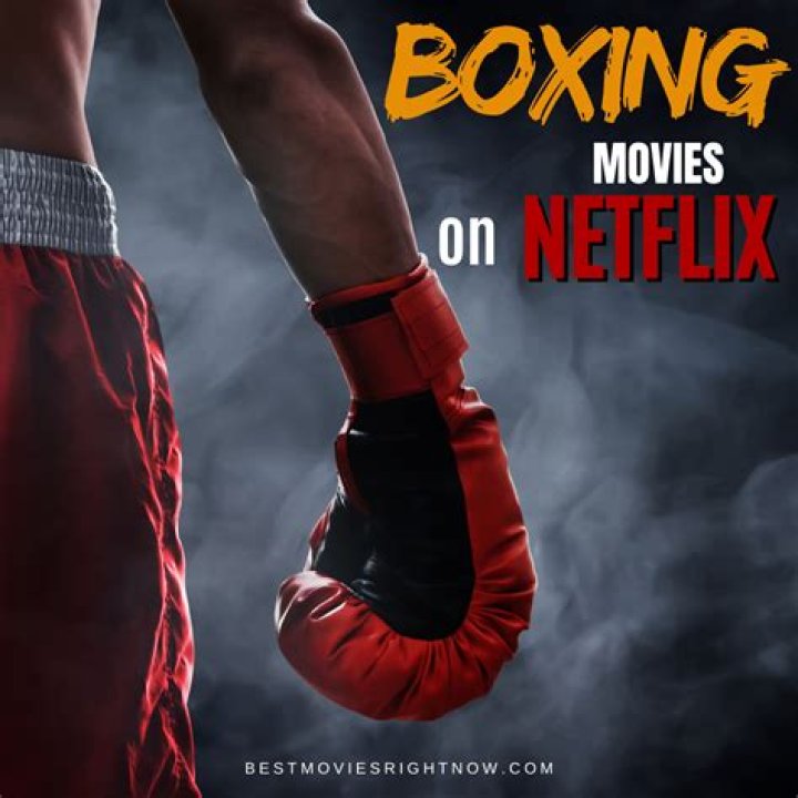 The best boxing movies on Netflix