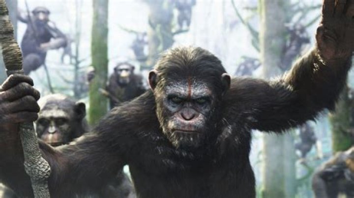 The new entry to the ‘Planet of the Apes’ saga has found its lead actor