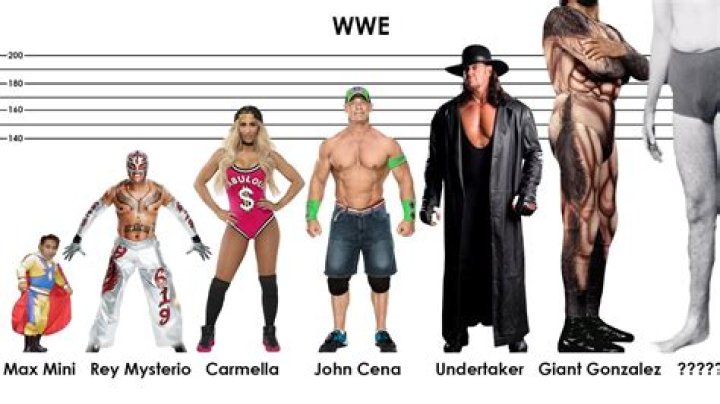 The Undertaker Body Measurements Height Weight Shoe Size Biceps Age Vital Statistics