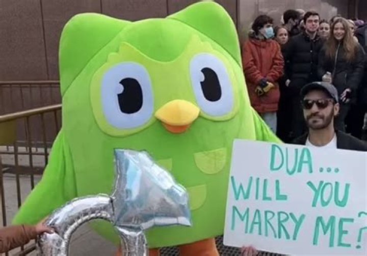 TikTok icon Duolingo Owl has proposed to Dua Lipa