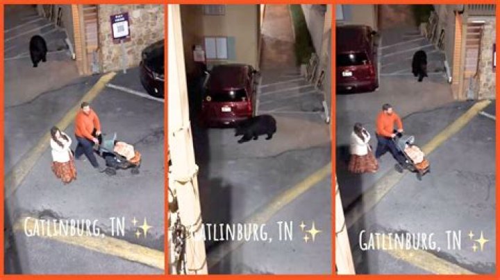 TikTok’s ‘Do you know the muffin man’ song and original, explained