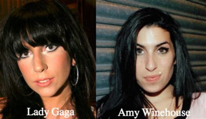 What did Lady Gaga look like before fame?