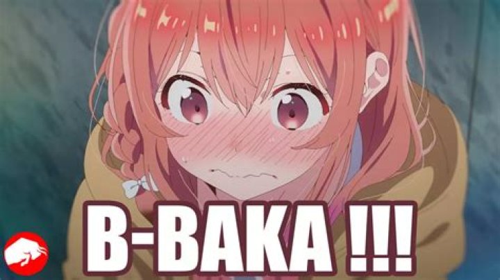 What does ‘Baka’ mean in Anime? Baka meaning, explained