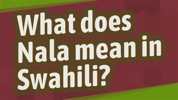 What does taka mean in Swahili? – Celebrity