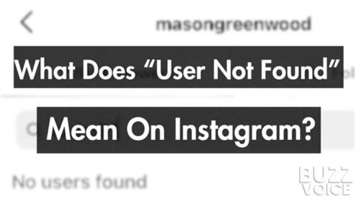 What does ‘user not found’ mean on Instagram?