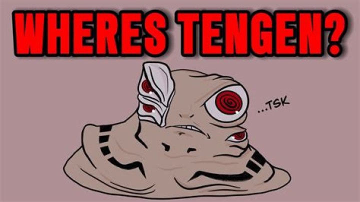 What Happened To Tengen After He Retired? – Celebrity