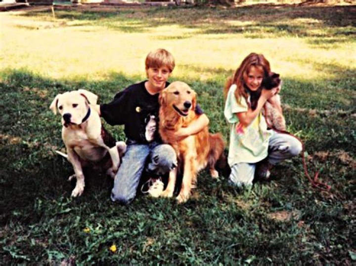 What is the true story behind Homeward Bound? – Celebrity