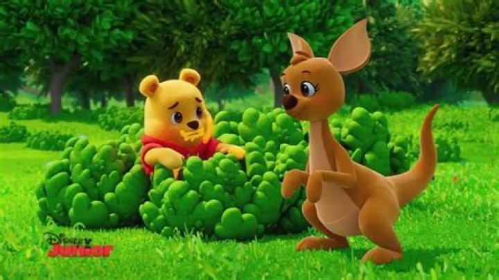 What mental disorder does Kanga and Roo have? – Celebrity