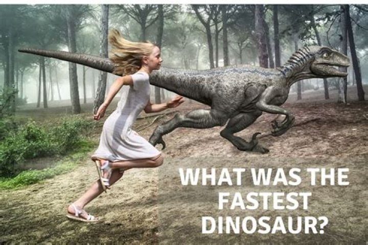 What was the fastest dinosaur? – Celebrity