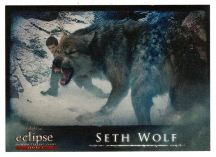 Which Wolf Is Seth In Twilight? – Celebrity