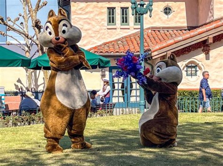 Who is Chip and whos Dale? – Celebrity