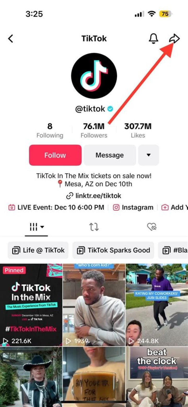 Who Is @vision On Tiktok? Details We Know About The Viral Social Media Account