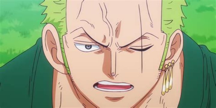 Who Is Zoro’S Bestfriend? – Celebrity