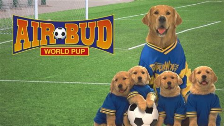 Who Was Ryders First Pup? – Celebrity