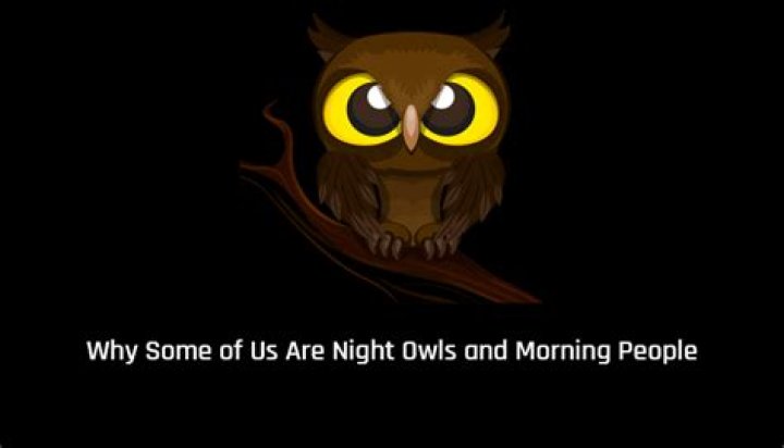 Why are some people night owls