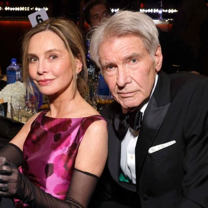 Why Did Harrison Ford And Mary Divorce? – Celebrity