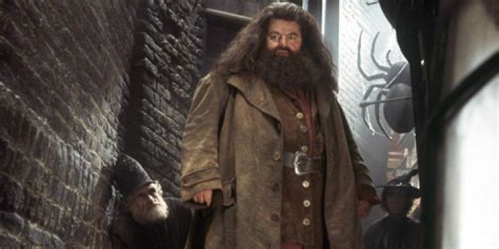 Why is Hagrid not allowed to do magic?