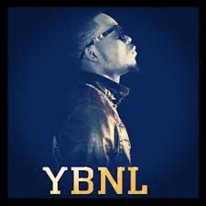 YBNL Nation Record label: Origin, Members & How To Join